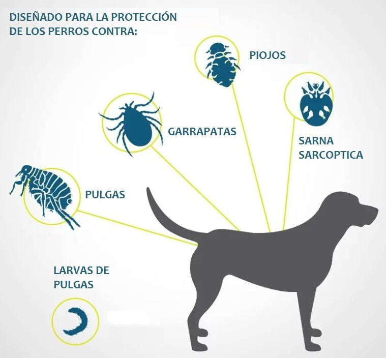Collar Antipulgas Para Perros
