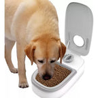 Comedero Mascotas con temporizador
