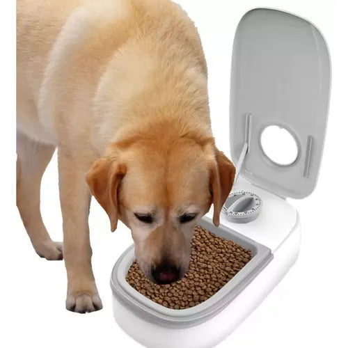 Comedero Mascotas con temporizador